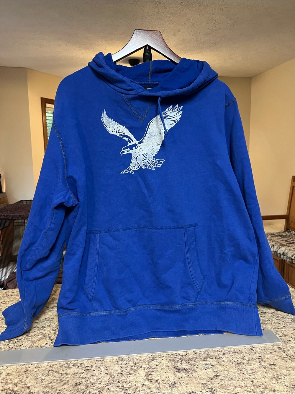 American Eagle royal blue Graphic Hoodie Sweatshirt XL